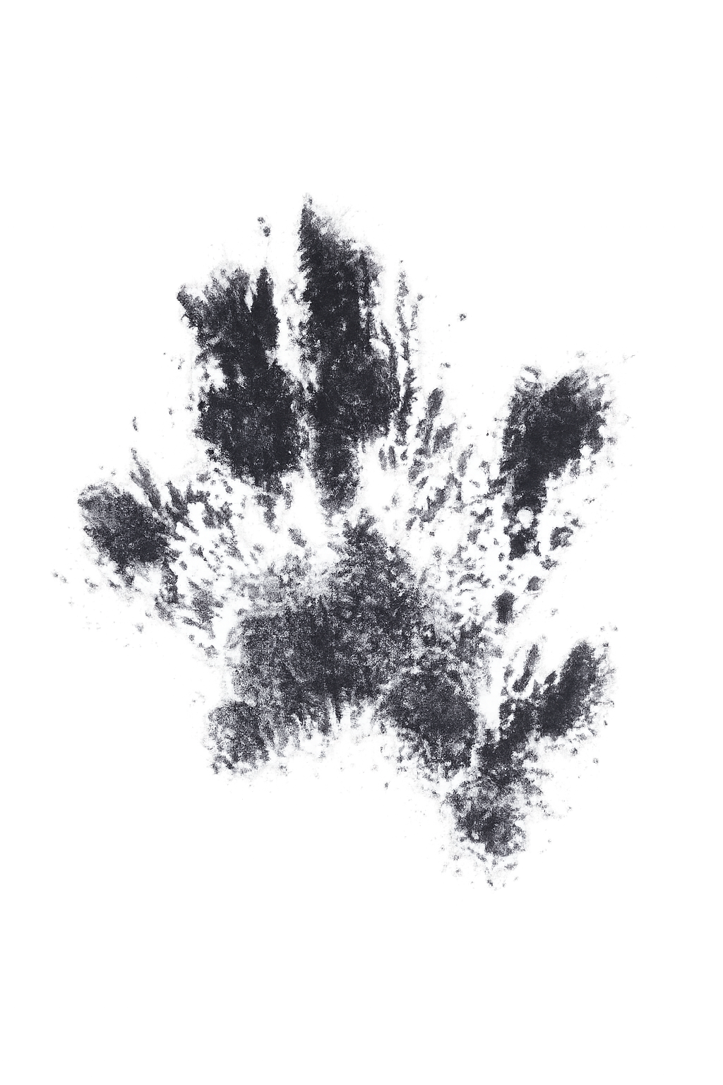 Adam Paw